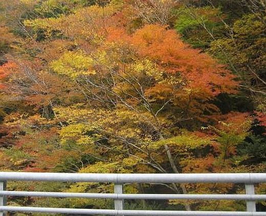 コード耳コピのコツを本で学ぶ Kasumi 音楽な日々の あれこれ